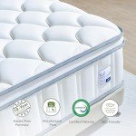 Sozlo 12 Inch Queen Size Hybrid Mattress with Cooling Gel and Individual Pocket Springs for Motion Isolation & Edge Support, Medium Firmness for Pressure Relief, CertiPUR-US Certified, in a Box