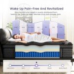 Queen Size Mattress, 14 Inch Deluxe Hybrid Queen Mattress in a Box, Medium Firm Mattresses With Gel Memory Foam & Pocket Springs, Pressure Relief, Cooling, Extra Edge Support [Upgraded Support]