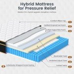 LETMOON Queen Mattress, 12 Inch Gel Memory Foam Hybrid Mattress Queen Size Bed in a Box, Pressure & Pain Relief, Medium Firm, Individual Pocket Spring, Edge Support, CertiPUR-US