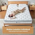 Selene Bedding Full Size Mattresses, 10 Inch Mattress Full with Pocket Spring and Memory Foam for Pressure Relief, Motion Isolation, Edge Support, Medium Firm Mattress in a Box, CertiPUR-US, White