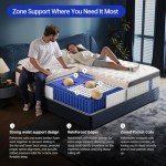 Queen Size Mattress,12 Inch Queen Mattress in a Box,Superior Hybrid Mattress with Gel Memory Foam or Back & Lumbar Support ,100 Night Trial,Soft,Pressure Relief,Zoned Support spring, Medium Firm