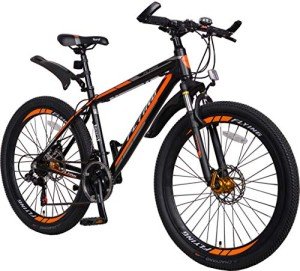 Fly TOTEM M660 Lightweight 21-Speed Mountain Bike
