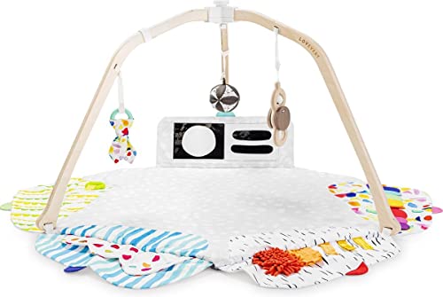 Lovevery Play Gym: Stage-Based Development for Baby