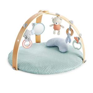 Ingenuity Reversible Duvet Gym & Play Mat