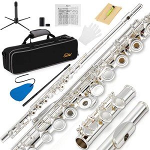 Eastar Open Hole C Flute for Beginners and Kids