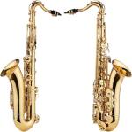 JINGFENG Bb Tenor Saxophone with Accessories Set