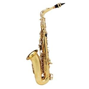 JINGFENG Bb Tenor Saxophone with Accessories Set