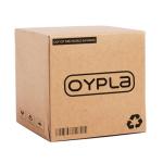 Full Size 4/4 Acoustic Violin Set with Case