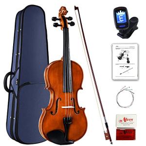 Aileen 4/4 Beginner Violin Set for Kids