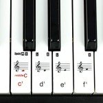 RockJam 49-Key Keyboard Piano with Accessories