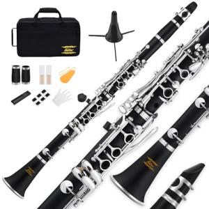 Eastar B Flat Beginner Clarinet with Accessories