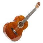 Max SoloArt Acoustic Guitar Starter Kit for Beginners