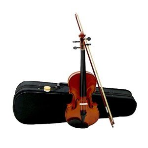 Full Size 4/4 Acoustic Violin Set with Case