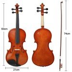 Full Size 4/4 Acoustic Violin Set with Case