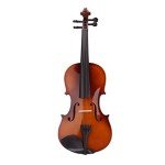 Full Size Acoustic Violin Set for Beginners