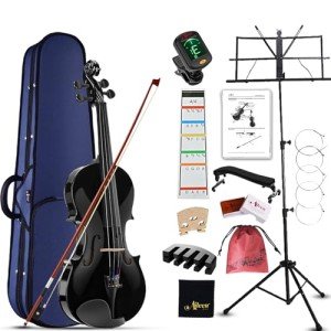 Aileen 4/4 Violin Starter Kit with Accessories