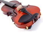 Bonnlo Full-Size Acoustic Violin with Case & Bow
