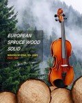 Aileen 4/4 Solid Wood Violin Starter Kit