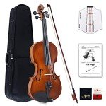 Aileen 4/4 Beginner Violin with Accessories Bundle