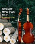 Aileen 4/4 Solid Wood Violin Starter Kit