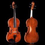 Aileen 4/4 Beginner Violin Set for Kids