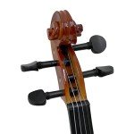 Full Size 4/4 Acoustic Violin Set with Case