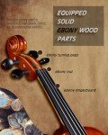 Aileen 4/4 Solid Wood Violin Starter Kit