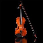 Aileen 4/4 Beginner Violin Set for Kids