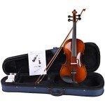 Aileen 4/4 Beginner Violin with Tuner and Manual