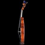 Aileen 4/4 Beginner Violin Set for Kids