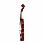 Full Size 4/4 Acoustic Violin Set with Case
