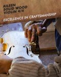 Aileen 4/4 Solid Wood Violin Starter Kit