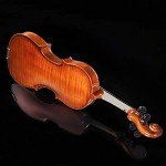Aileen 4/4 Beginner Violin Set for Kids