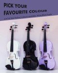 Aileen 4/4 Violin Starter Kit with Accessories