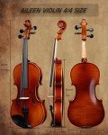Aileen 4/4 Solid Wood Violin Starter Kit