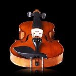 Aileen 4/4 Beginner Violin Set for Kids