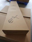 Aileen 4/4 Beginner Violin Set for Kids