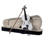 Full Size 4/4 Acoustic Violin Set for Beginners