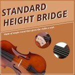 LALAHO Full Size Beginner Violin Set
