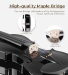 Vangoa Full Size Acoustic Violin Beginner Set