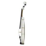 Full Size 4/4 Acoustic Violin Set for Beginners