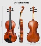 Vangoa Full Size Acoustic Violin Beginner Set