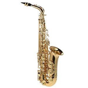 Summina E Flat Saxophone with Accessories and Case
