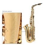 Summina E Flat Saxophone with Case and Accessories
