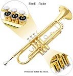 EASTROCK Bb Trumpet Starter Set with Case