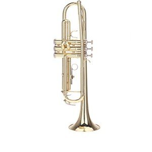 Summina Bb Trumpet with Silver Mouthpiece & Case