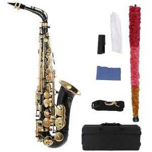 Summina Golden Brass E Flat Alto Saxophone Set