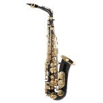 Golden Lacquered E Flat Alto Saxophone Bundle