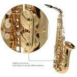Summina E Flat Saxophone with Case and Accessories