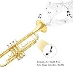 EASTROCK Bb Trumpet Starter Set with Case